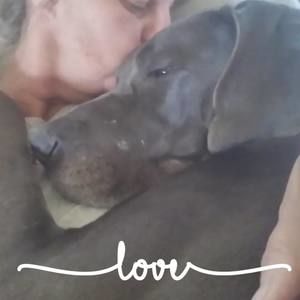 Meet your Posher, Scott claudia